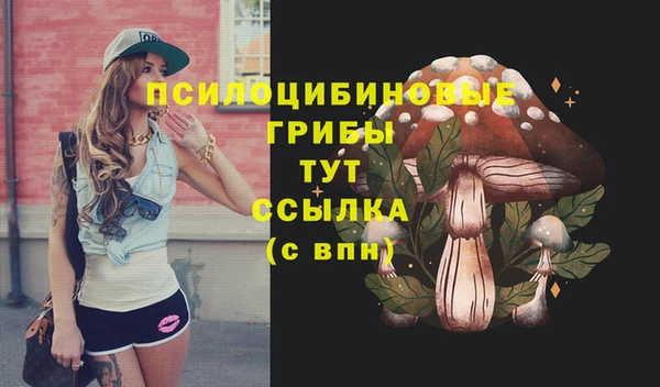 соль ск Алексеевка